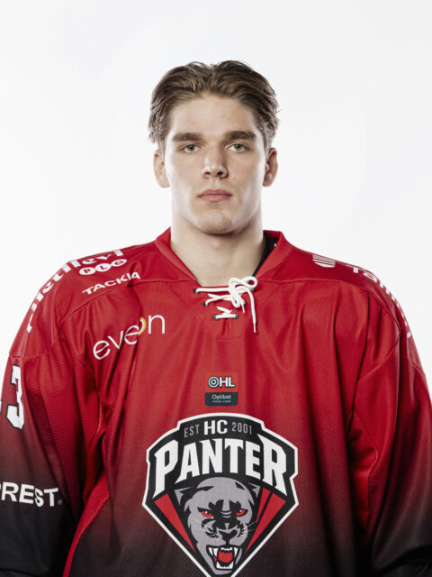 Artjom Abeljanov