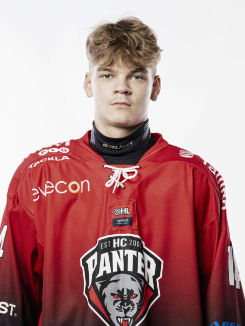 Dominic Luht